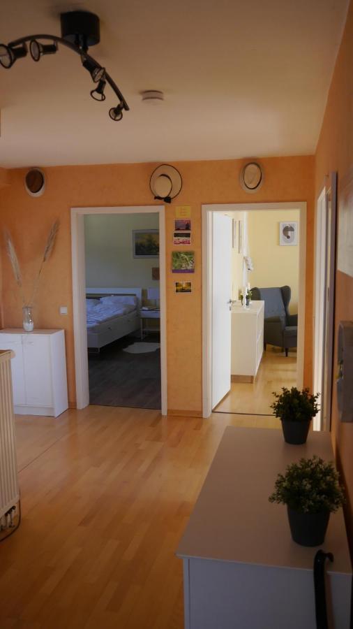 Grosszugige Wohnung Mit Herkulesblick Nahe Uni Kassel Eksteriør billede