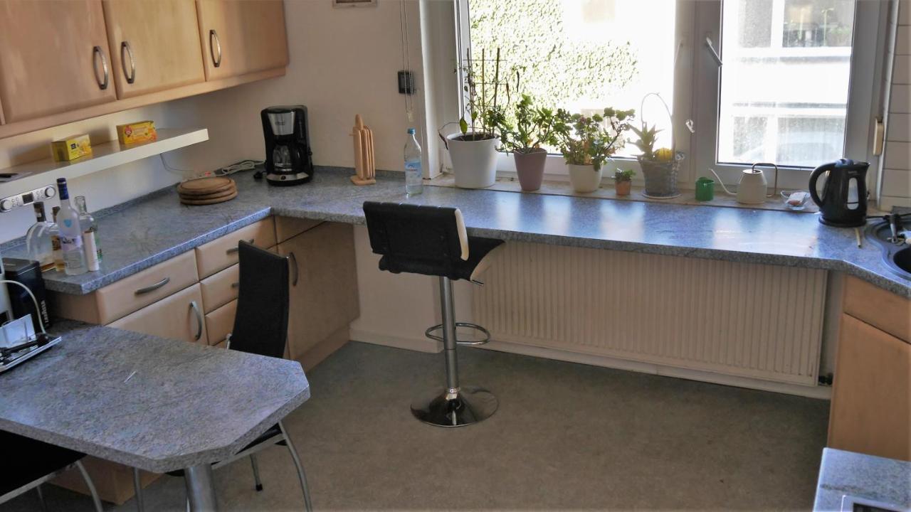 Grosszugige Wohnung Mit Herkulesblick Nahe Uni Kassel Eksteriør billede